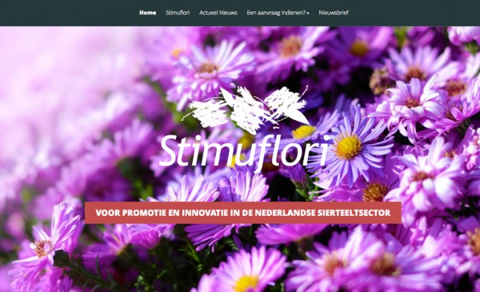 website van Stimuflori door You're On!