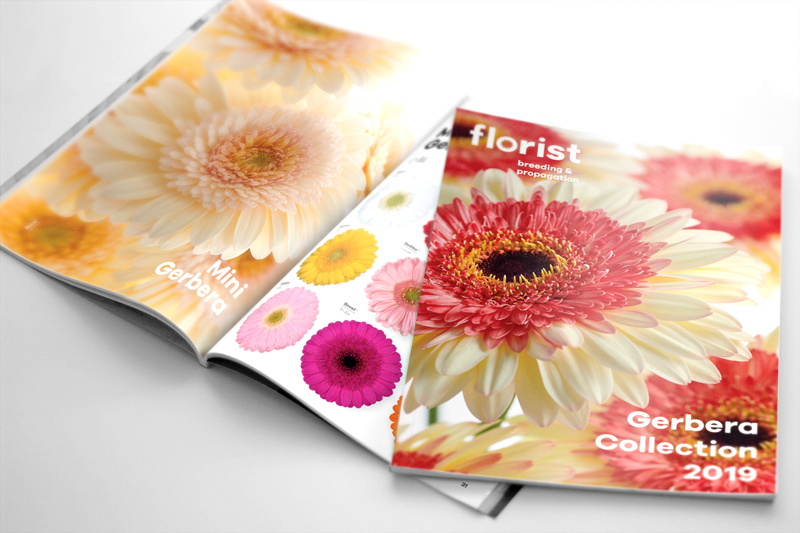 catalogus ontwerp FLORIST 2019 door you're on!