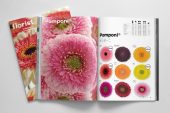hilverda florist catalogus brochure 2019
