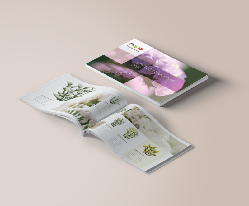 Alstroemeria, limonium, statice and chrysanthemum Brochures