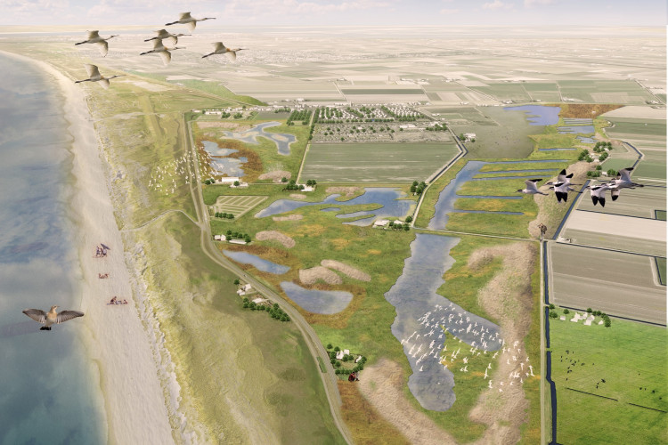 Visual Zandpolder Grafisch design en ontwerp noord holland